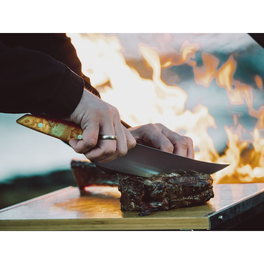 F. DICK VIVUM Asador BBQ-mes 22 cm